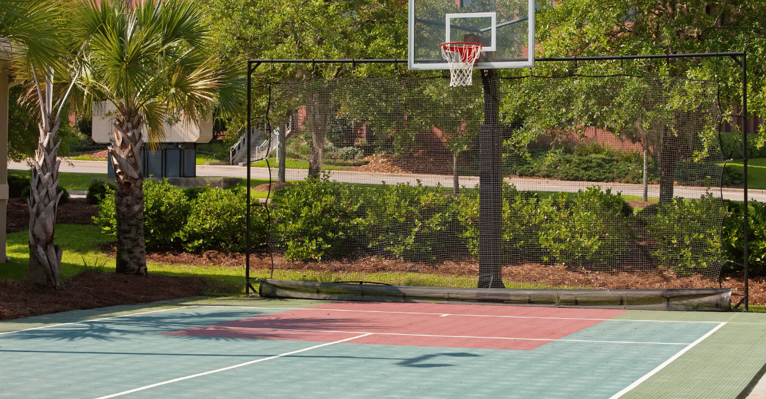 Ascensão dos Sacramento Kings na NBA 2023